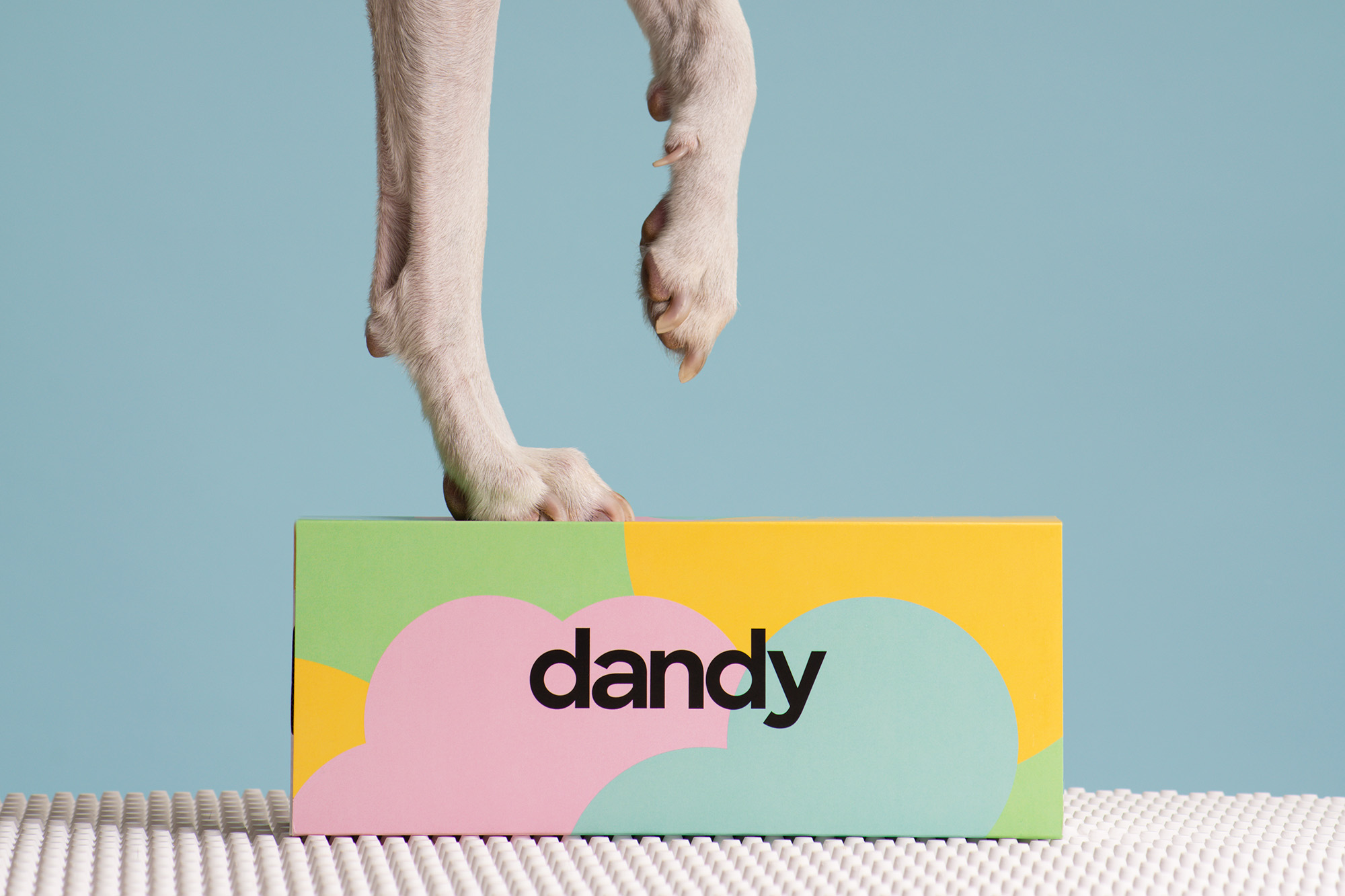 Dandy-product5632